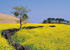 ����