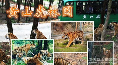 黄山虎林园