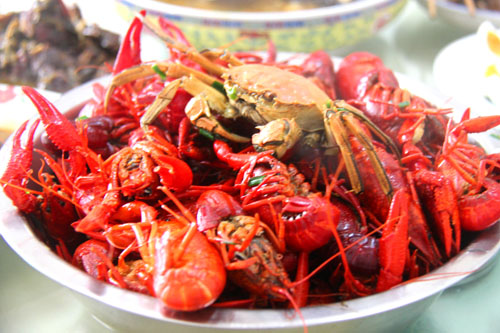 荷花之乡江苏金湖旅游攻略