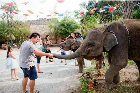Pattaya清迈小镇遇中国春节假期受国内游客