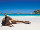 8769