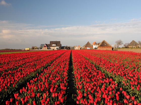 南京出发 法国意大利瑞士+荷兰10日(意签)