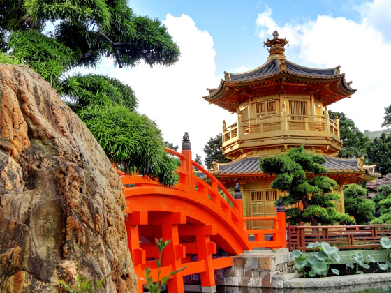 青岛出发 香港海洋公园纯玩1日游