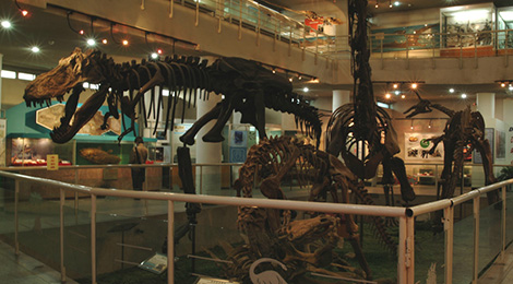 0(16:00停止入场,16:30闭馆) 景区地址:北京市西